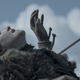Photo: HBO